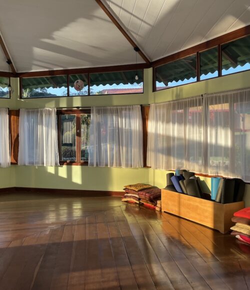 Intuisom | Yoga e Desenvolvimento Humano